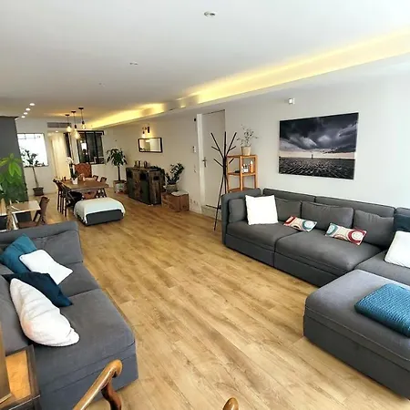 Ze Perfect Place - Loft 2 Chb - 2 Sdb - Parking - Coulee Verte De Apartment Nice